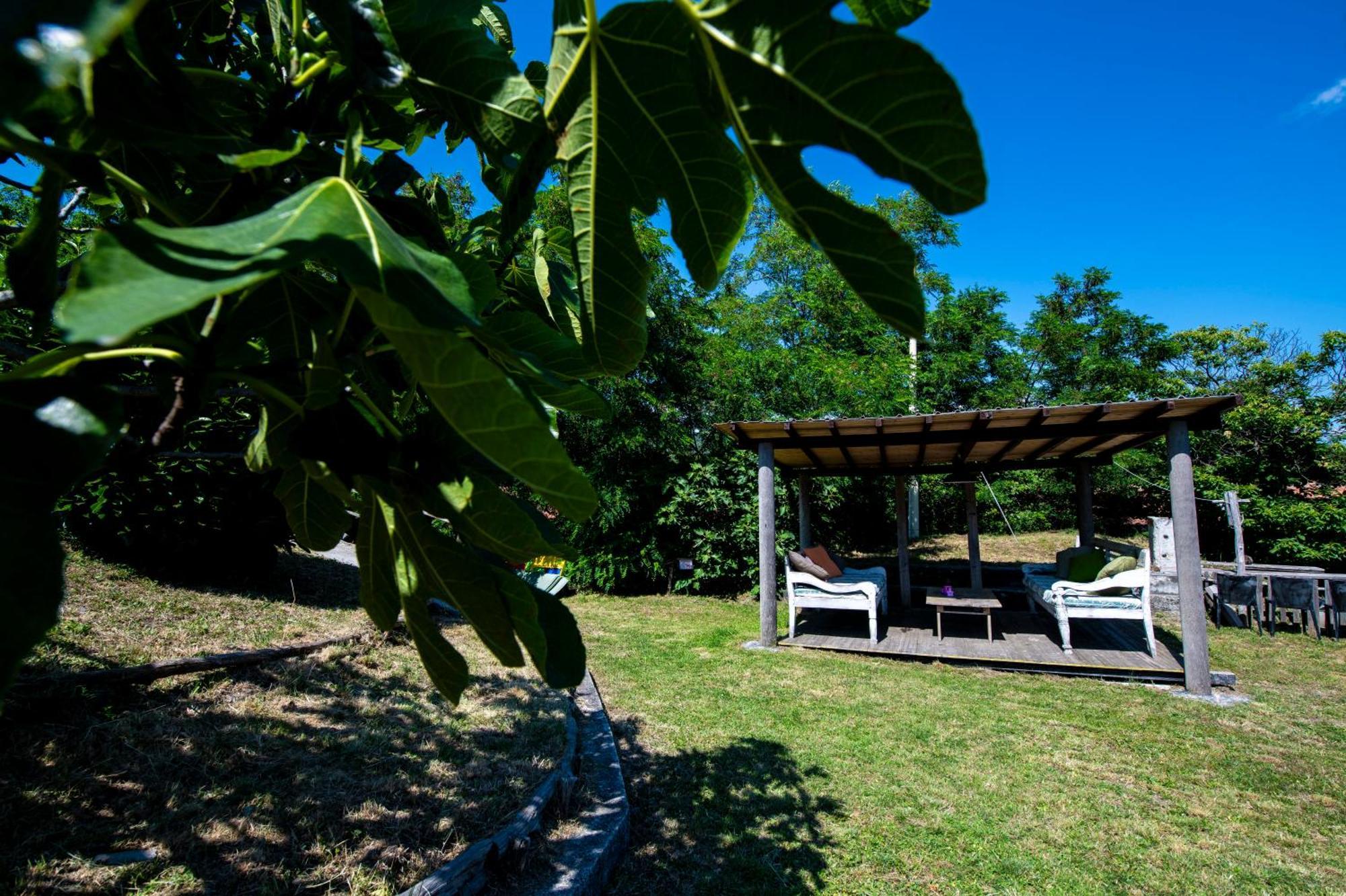 211 - Appartamento Acacia, Terrazza Giardino E Piscina Carro Esterno foto