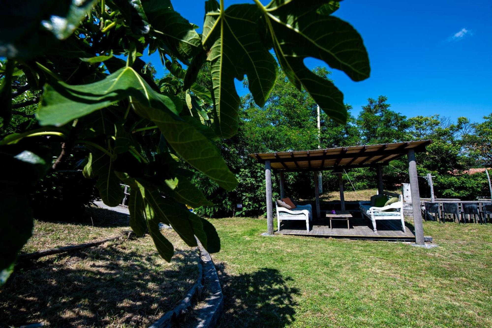 211 - Appartamento Acacia, Terrazza Giardino E Piscina Carro Esterno foto